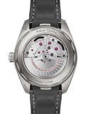 Seamaster Aqua Terra Worldtimer 150M New York