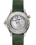Seamaster Diver 300M